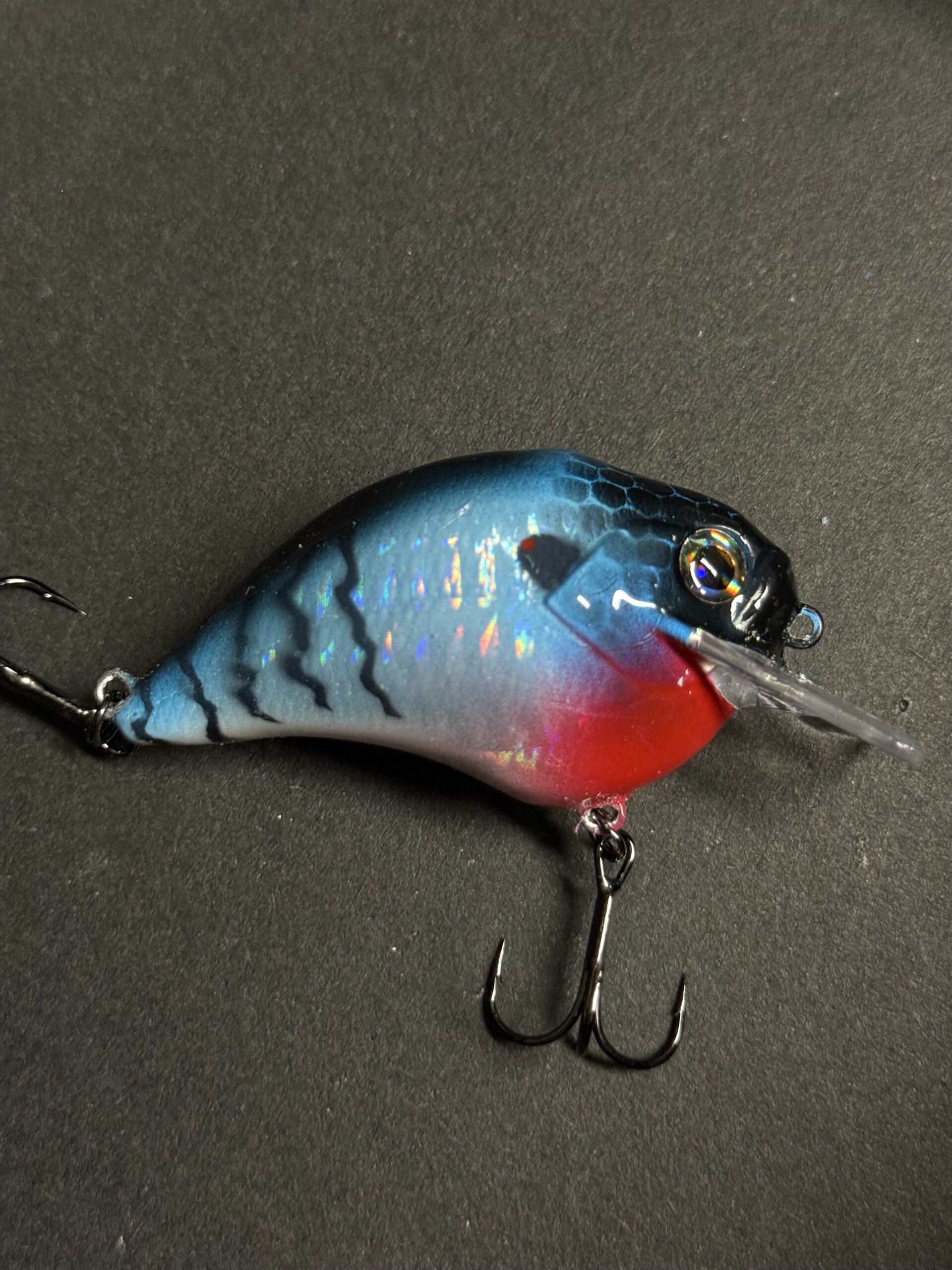 Red White & Bluegill